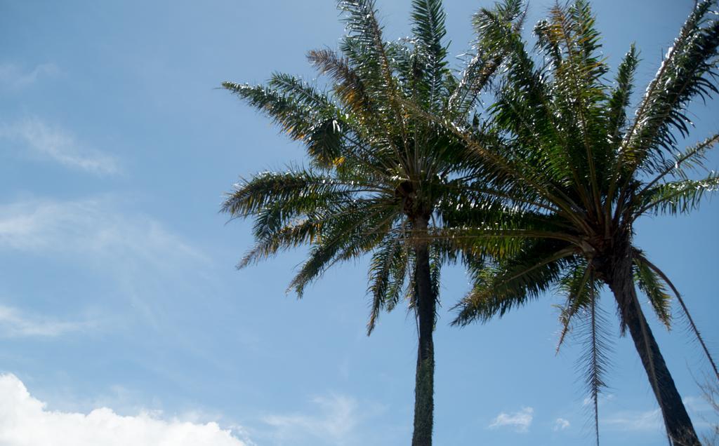 Pousada Vila Flor Da Mata Trancoso Exterior photo
